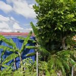 Pusat Ekonomi Digital (PEDi) Kg Sri Jaya, Jln Semangka 5, Tampoi - Johor Bahru