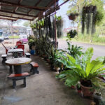 Frenz Bay Cafe - Port Dickson