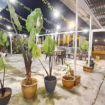 Bunga 59 cafe - Kuala Pilah