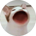 Kocheng Puteh Kocheng Puteh