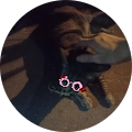 WDカシュン WDカシュン