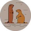 Civetrex Civetrex